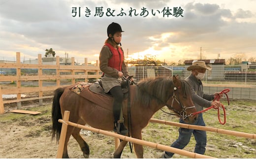 引き馬＆ふれあい体験