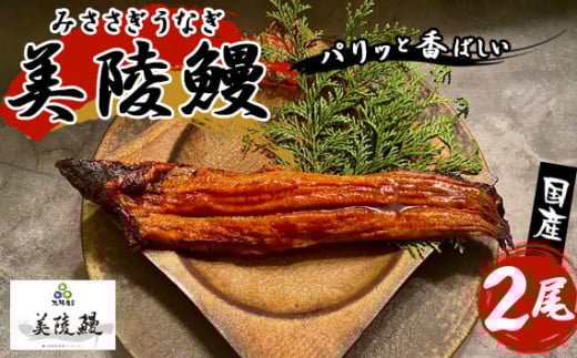 No.211 大阪府藤井寺市産 美陵鰻 / うなぎ ウナギ 蒲焼 かば焼き 大阪府 特産品