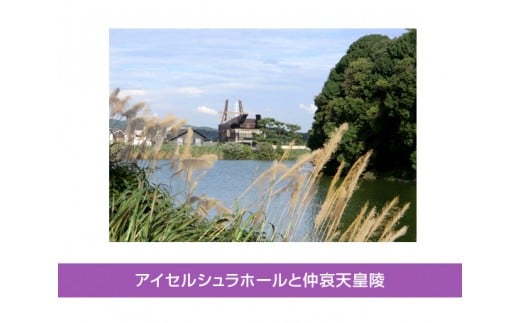 No.034 ガイドと巡るウォーク「藤井寺歴史探訪コース」 / 体験 探検 観光 昼食付 土産付 大阪府