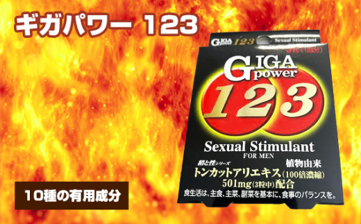 No.309 ギガパワー 123 / サプリメント サプリ 大阪府