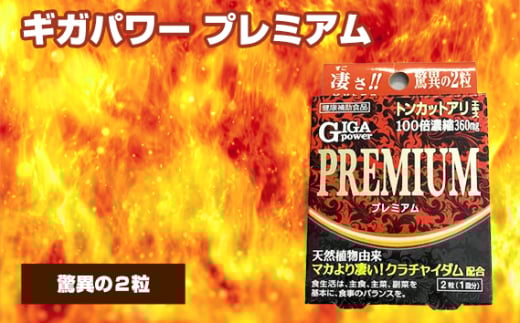 No.310 ギガパワー プレミアム / サプリメント サプリ 大阪府