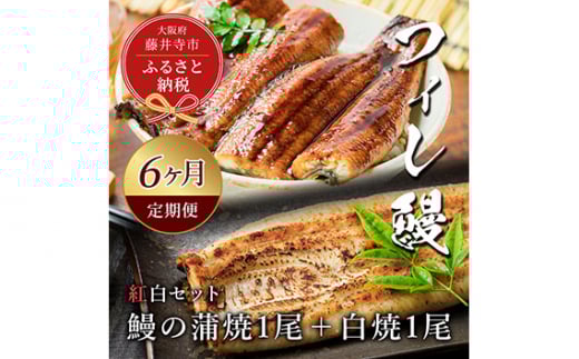 No.287 【鰻セレブ】鰻の蒲焼1尾×白焼1尾(6カ月定期便) / 美陵鰻 みささぎうなぎ フィレ鰻 ブランドうなぎ ウナギ 大阪府 特産品