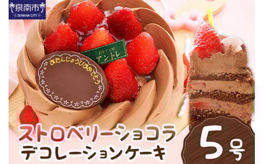 ストロベリーショコラ5号サイズ【074D-034】