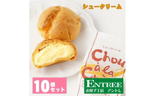 シュークリーム10個セット【074D-031】