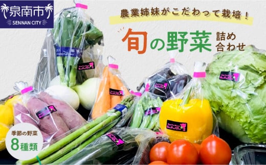 農業姉妹がこだわって栽培!西洋野菜が入った旬の野菜詰め合わせ8種類【024D-008】