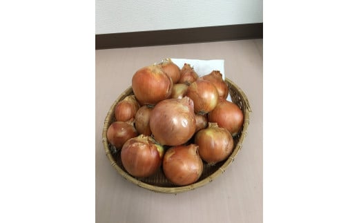 [10セット限定]泉南産 泉州玉ねぎ 4kg[036E-006]
