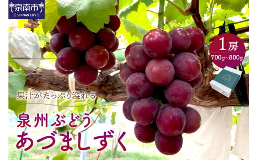 泉州ぶどう あづましずく 1房【065D-009】