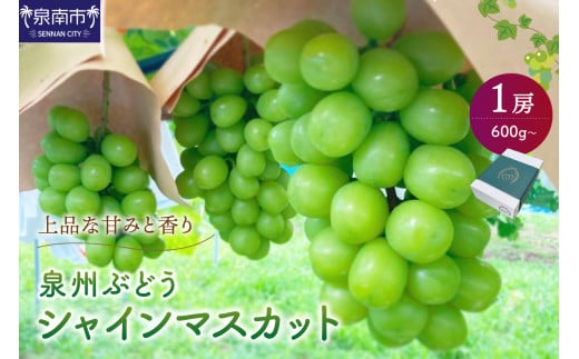 泉州ぶどう シャインマスカット 1房【065D-010】