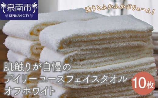 [泉州タオル]肌触りが自慢のデイリーユースフェイスタオル オフホワイト 10枚[配送不可地域:北海道・沖縄・離島][039D-243]