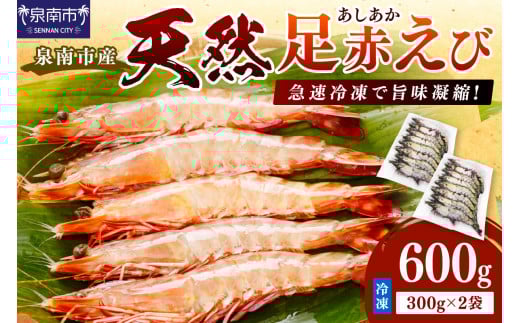 大阪府泉南市産 天然足赤エビ 600g【058D-007】