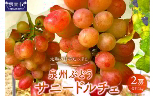 泉州ぶどう 太陽の甘みたっぷりサニードルチェ【065D-018】