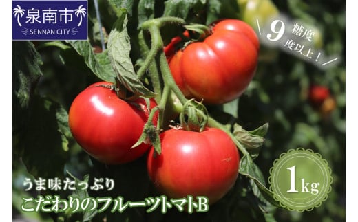 【糖度9度以上】うま味たっぷり こだわりのフルーツトマトB 1kg【配送不可地域:北海道・沖縄・離島】【093E-001】