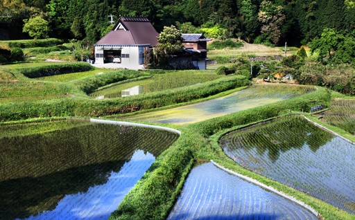 3.みどりの保全と観光（緑の保全・観光振興）