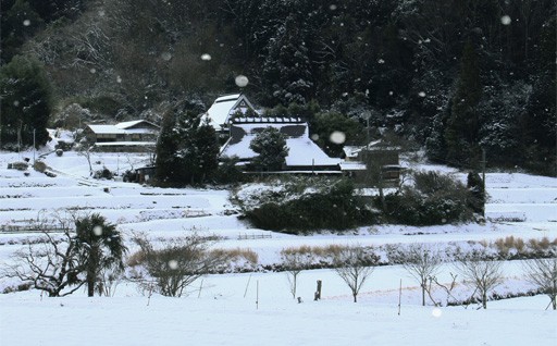 4.ふるさと移住交流促進プロジェクト（地域による魅力発信や移住促進）