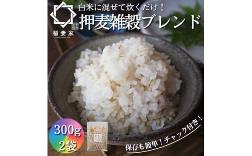 <白米に混ぜて簡単!>国産 押し麦ブレンド600g(300g×2袋入り)【1632803】