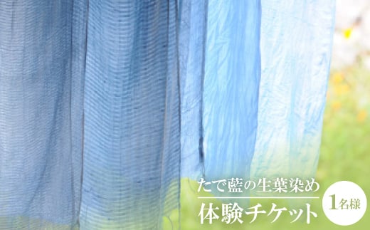 たで藍の生葉染め 体験チケット 一名様【1273175】