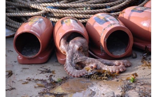 豊かで安全な海づくりを応援