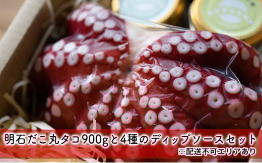 明石だこ丸タコ900gと4種のディップソースセット