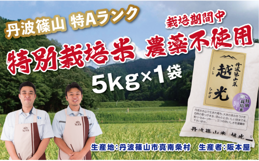 【令和7年産】丹波篠山産 特別栽培米 越光(農薬不使用)(5kg×1袋) 兵庫県 丹波篠山市 白米 100%単一原料米 産地直送米 おいしい お米 精米 コシヒカリ ブランド おこめ 健康 送料無料 おすすめ 人気 口コミ