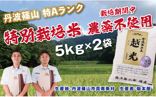 【令和7年産】丹波篠山産 特別栽培米 越光(農薬不使用)(5kg×2袋) 兵庫県 丹波篠山市 白米 100%単一原料米 産地直送米 おいしい お米 精米 コシヒカリ ブランド おこめ 健康 送料無料 おすすめ 人気 口コミ