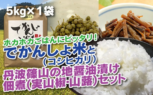 [令和7年産 2025年9月以降順次発送] 丹波篠山の地醤油漬、佃煮セット でかんしょ米5kgと実山椒・山蕗 兵庫県 丹波篠山市 白米 100%単一原料米 産地直送米 贈答 おいしい お米 精米 コシヒカリ ブランド おこめ 健康 ギフト 内祝い 贈り物 送料無料 おすすめ 人気 口コミ