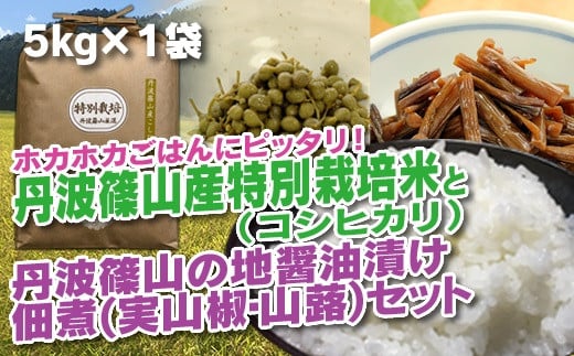 [令和7年産 2025年9月以降順次発送] 丹波篠山の地醤油漬、佃煮セット 特別栽培米5kgと実山椒・山蕗 兵庫県 丹波篠山市 白米 100%単一原料米 産地直送米 贈答 おいしい お米 精米 コシヒカリ ブランド おこめ 健康 ギフト 内祝い 贈り物 送料無料 おすすめ 人気 口コミ