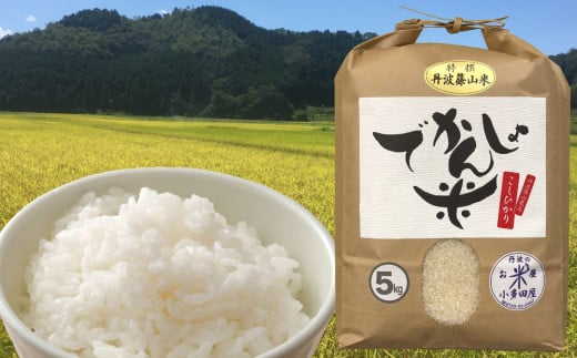 [令和7年産 2025年9月以降順次発送] 抜群の味と香り 丹波篠山産コシヒカリ5kg×1山椒醤油漬セット 兵庫県 丹波篠山市 白米 100%単一原料米 産地直送米 贈答 おいしい お米 精米 コシヒカリ ブランド おこめ 健康 ギフト 内祝い 贈り物 送料無料 おすすめ 人気 口コミ