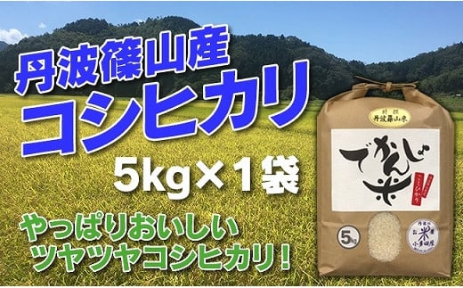 [令和7年産 2025年9月以降順次発送]お米のおいしさ伝えたい!丹波篠山産コシヒカリ5kg×1 兵庫県 丹波篠山市 白米 100%単一原料米 産地直送米 贈答 おいしい お米 精米 コシヒカリ ブランド おこめ 健康 ギフト 内祝い 贈り物 送料無料 おすすめ 人気 口コミ