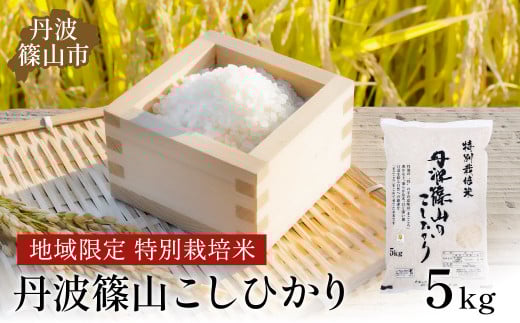 [新米予約 令和7年産]丹波たぶち農場の特別栽培米こしひかり5kg 兵庫県 丹波篠山市 白米 100%単一原料米 産地直送米 贈答 おいしい お米 精米 コシヒカリ ブランド おこめ 健康 ギフト 内祝い 贈り物 送料無料 おすすめ 人気 口コミ