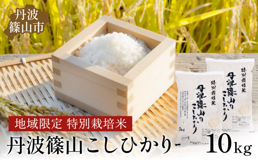 [新米予約 令和7年産]丹波たぶち農場の特別栽培米こしひかり10kg イチオシ 兵庫県 丹波篠山市 白米 100%単一原料米 産地直送米 贈答 おいしい お米 精米 コシヒカリ ブランド おこめ 健康 ギフト 内祝い 贈り物 送料無料 おすすめ 人気 口コミ