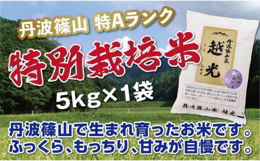【令和7年産】丹波篠山産 特Aランク 特別栽培米 越光(5kg×1袋) 兵庫県 丹波篠山市 白米 100%単一原料米 産地直送米 おいしい お米 精米 コシヒカリ ブランド おこめ 健康 送料無料 おすすめ 人気 口コミ