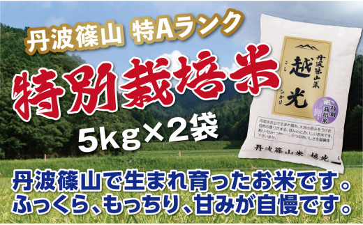 【令和7年産】丹波篠山産 特Aランク 特別栽培米 越光(5kg×2袋) 兵庫県 丹波篠山市 白米 100%単一原料米 産地直送米 おいしい お米 精米 コシヒカリ ブランド おこめ 健康 送料無料 おすすめ 人気 口コミ