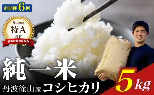 定期便6回【令和7年産】丹波篠山産 コシヒカリ 5kg 兵庫県 丹波篠山市 白米 100%単一原料米 産地直送米 おいしい お米 精米 コシヒカリ ブランド おこめ 健康 送料無料 おすすめ 人気 口コミ