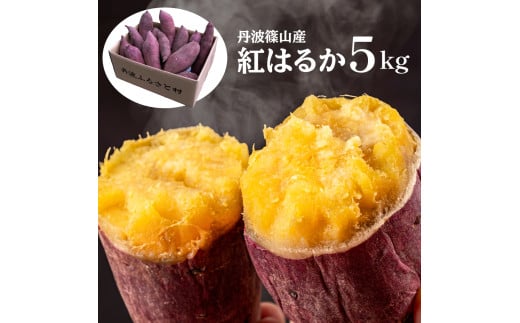 【2025年11月中旬以降発送】丹波ふるさと村の紅はるか 5kg(サイズ未選別)さつまいも サツマイモ さつま芋 甘い ホクホク 焼き芋 焼芋 焼いも おいしい 美味しい ねっとり 天ぷら ポテト お野菜セット 食物繊維 美容 スイーツ 非常食 箱買い 大量 詰め合わせ 国産