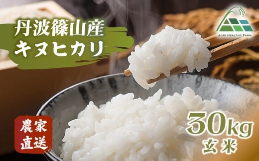 【2025年産】丹波篠山産キヌヒカリ 玄米 30kg 兵庫県 丹波篠山市 げんまい 100%単一原料米 産地直送米 おいしい お米 精米 ブランド おこめ 健康 送料無料 おすすめ 人気 口コミ