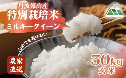 【2025年産】丹波篠山産特別栽培ミルキークイーン 玄米 30kg 兵庫県 丹波篠山市 げんまい 100%単一原料米 産地直送米 おいしい お米 精米 ブランド おこめ 健康 送料無料 おすすめ 人気 口コミ