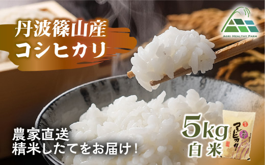 【2025年産】丹波篠山産コシヒカリ 白米 5kg 兵庫県 丹波篠山市 白米 100%単一原料米 産地直送米 おいしい お米 精米 コシヒカリ ブランド おこめ 健康 送料無料 おすすめ 人気 口コミ