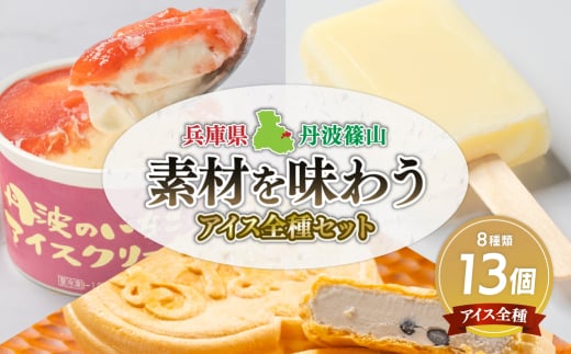 丹波篠山 素材を味わうアイスクリーム アイス全種セット 13個(8種類) 兵庫県 丹波篠山市 アイスクリーム 濃厚 滑らか コク ご当地 パーティ アレンジ  冷凍配送 冷凍食品