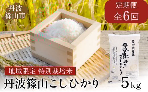 [定期便]※令和7年 新米予約※特Aランク特別栽培米 コシヒカリ 5kg(全6回) 兵庫県 丹波篠山市 白米 100%単一原料米 産地直送米 贈答 おいしい お米 精米 コシヒカリ ブランド おこめ 健康 ギフト 内祝い 贈り物 送料無料 おすすめ 人気 口コミ