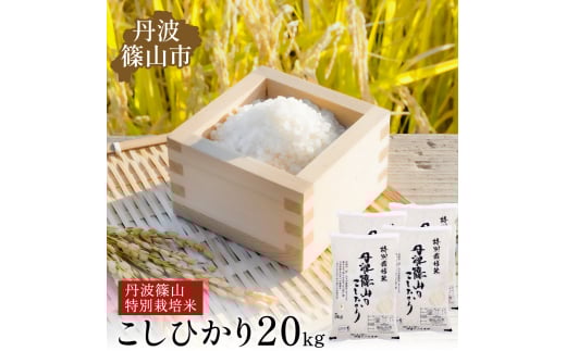 [令和7年産 新米]丹波篠山産 特Aランク特別栽培米 こしひかり 20kg 西の魚沼と呼ばれる 丹波篠山 コシヒカリ!白米[100%単一原料米]産地直送 贈答 おいしい お米 精米 コシヒカリ 米20 キロ ブランド おこめ 健康 お試し ギフト 内祝い 贈り物