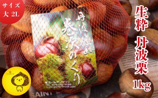 生粋丹波栗　巻次のくり　大 2L　1.0ｋｇ　プレミアム栗 期間限定 お取り寄せグルメ 高級 特産品 名産品 マロン 関西 西日本