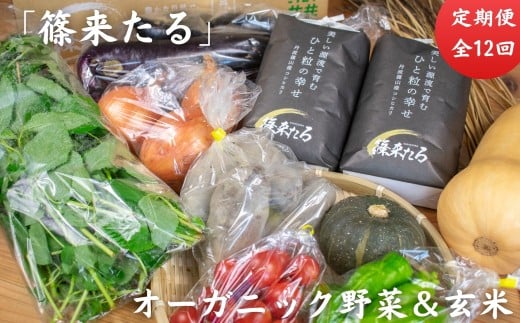 [2025年10月以降順次スタート]「篠来たる」オーガニック野菜(7種ほど)と玄米2kgの定期便 ※3・4月農閑期のみ丹波篠山産の加工品 自然派 げんまい おいしい お米 コシヒカリ ブランド 健康 有機 人気 口コミ 関西 西日本