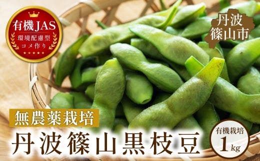 有機JAS認定 無農薬栽培 丹波篠山 黒枝豆 手選別 1kg│丹波篠山 黒枝豆 黒豆 丹波枝豆 丹波黒大豆枝豆 安全・安心 有機栽培 無農薬 有機JAS 新鮮 枝豆 豆 おつまみ 晩酌 黒枝豆