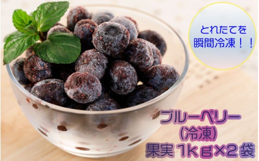 ブルーベリー(冷凍)果実1kg×2袋