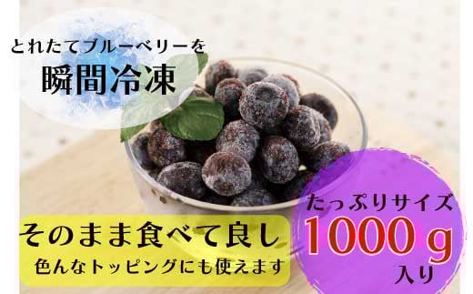 ブルーベリー(冷凍)果実1kg×1袋