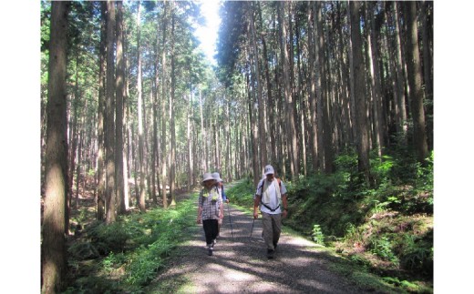 健康ウォーキング回数券（10回分）[320]