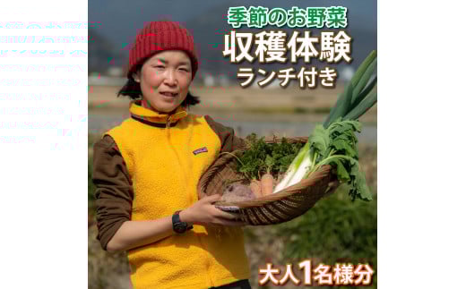 ファームビジット（収穫体験）とランチ（1名様分）[200]