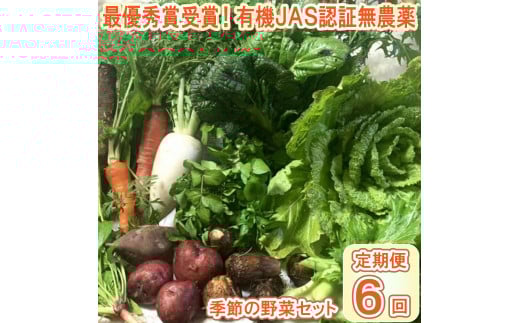 【最優秀賞受賞！甘味＆栄養】有機JAS認証の無農薬、チヨちゃんの野菜６ヶ月定期[956]