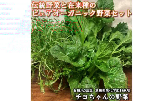 【季節限定】伝統野菜と在来種のピュアオーガニック野菜セット[1179] 出荷時期は１月～６月末 播州 伝統野菜 無農薬 有機JAS認証