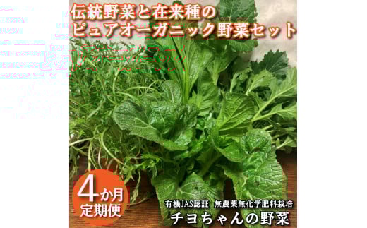 【季節限定】伝統野菜と在来種のピュアオーガニック野菜セット４か月定期便[1181] 出荷時期は１月～６月末 播州 伝統野菜 無農薬 有機JAS認証